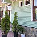 Photo 51